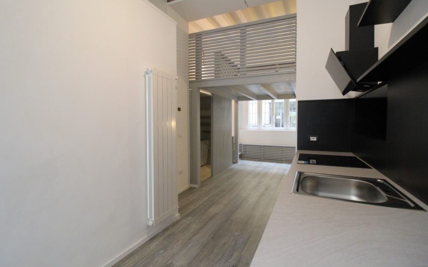 Loft Piazza V Giornate/Via Sciesa