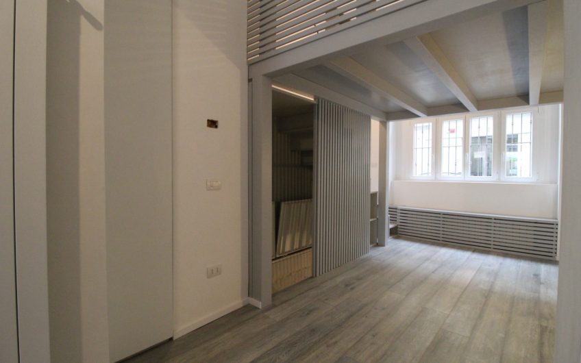 Loft Piazza V Giornate/Via Sciesa
