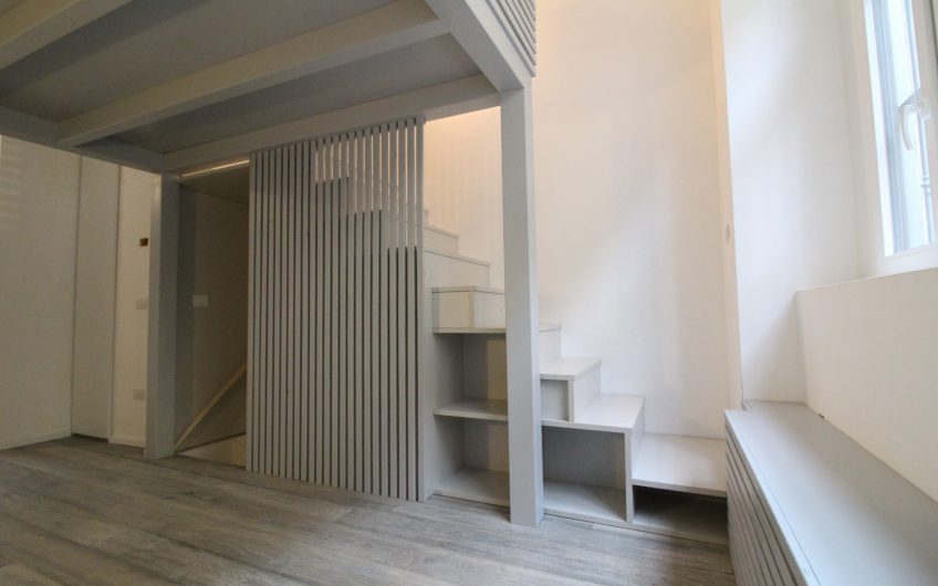 Loft Piazza V Giornate/Via Sciesa