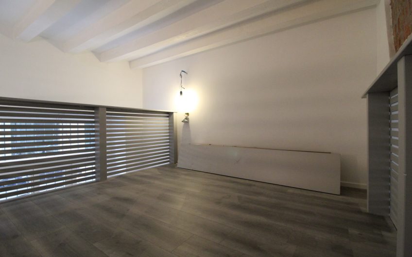 Loft Piazza V Giornate/Via Sciesa