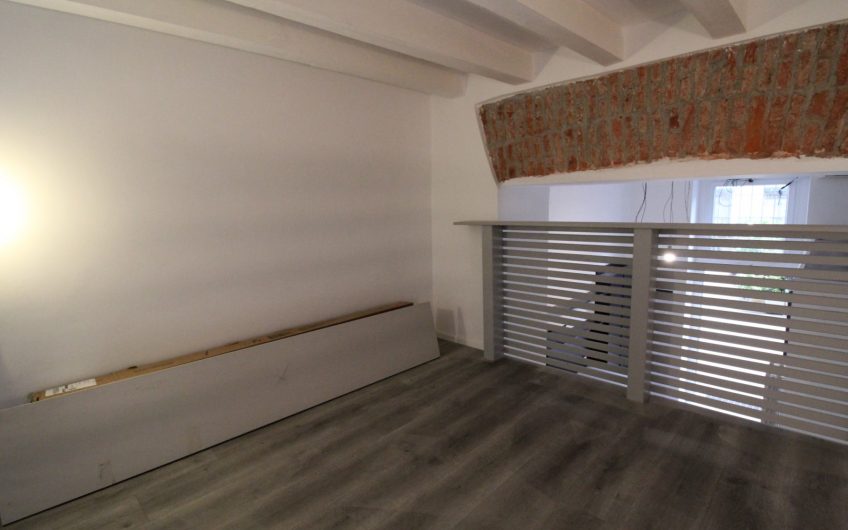 Loft Piazza V Giornate/Via Sciesa