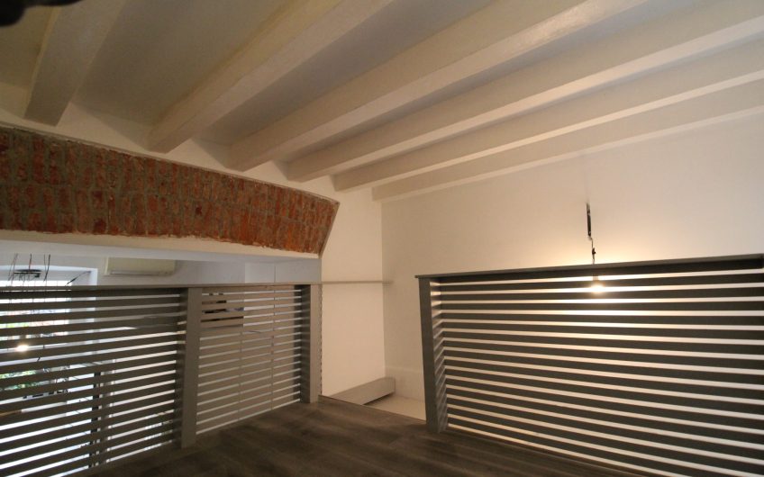 Loft Piazza V Giornate/Via Sciesa