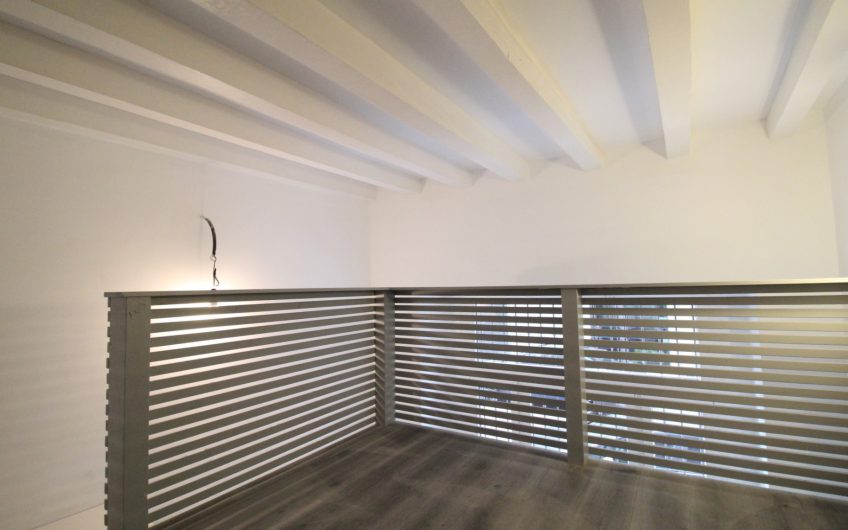 Loft Piazza V Giornate/Via Sciesa
