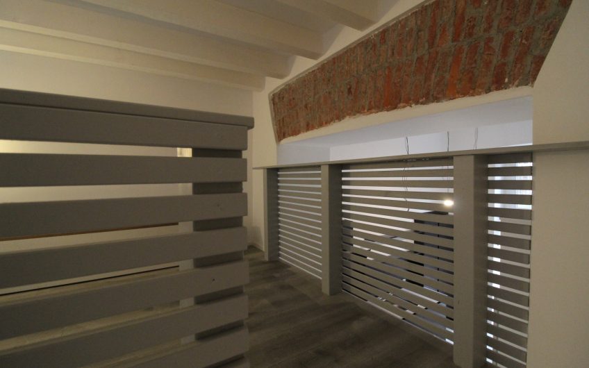 Loft Piazza V Giornate/Via Sciesa